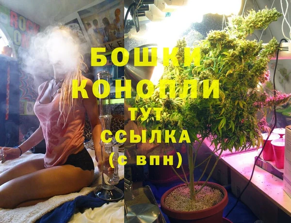 spice Нягань