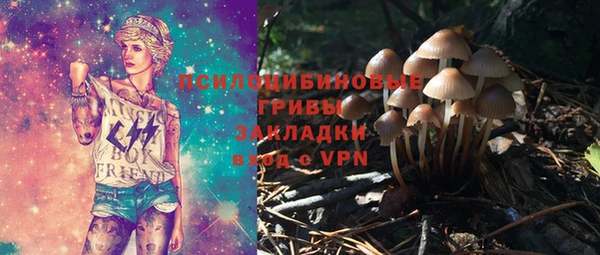 МДПВ Алексин
