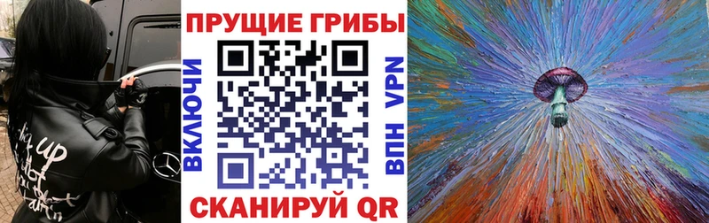 Псилоцибиновые грибы Cubensis  даркнет сайт  Переславль-Залесский 
