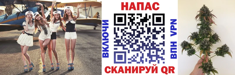 Бошки Шишки сатива Переславль-Залесский